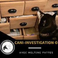 cani-investigation