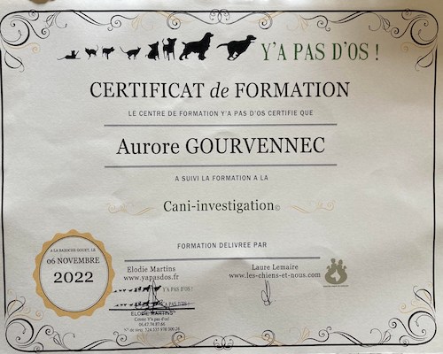 formation-diplome-cani-investigation